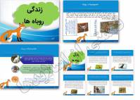 دانلود پاورپوینت درباره روباه 44 اسلاید