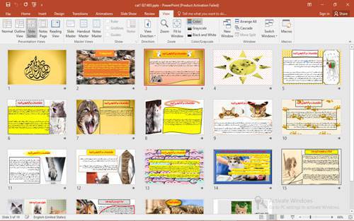 پاورپوینت درباره گربه 19 اسلاید