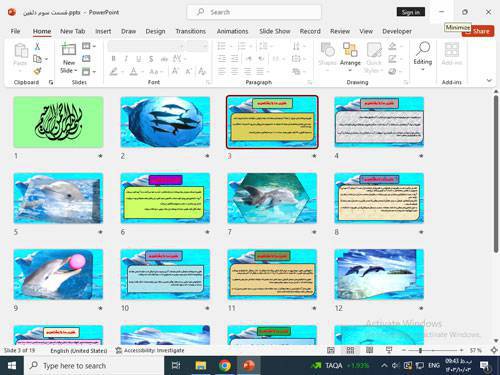 پاورپوینت قسمت سوم دلفین